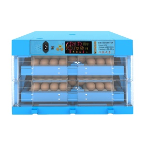 Mini incubateur à rouleaux domestiques