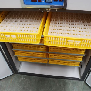 Incubateur d'oeuf de volaille entièrement automatique