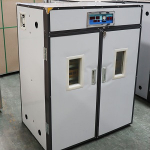 Incubateur d'oeuf de volaille entièrement automatique