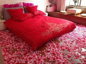HENGYUE  pétales de rose non tissé 100 pièces/paquet