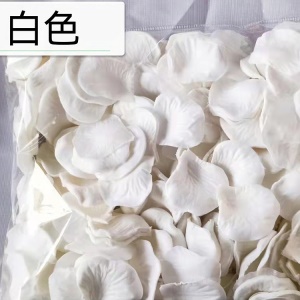 TIANSHUN  pétales de rose artificielles pour décoration fleurs