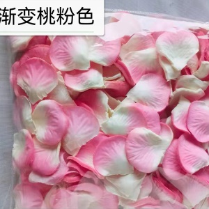 TIANSHUN  pétales de rose artificielles pour décoration fleurs