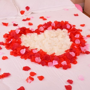 TIANSHUN  pétales de rose artificielles pour décoration fleurs