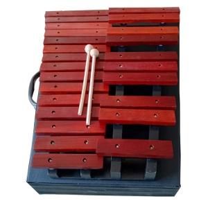 XINHAO xylophone avec boîte de 25 sons