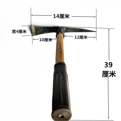 Pioche forgée résistante avec manche en bois à l'usure