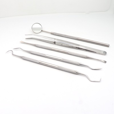 CHENCAI Outils dentaires Kit de 6 pièces en acier inoxydable