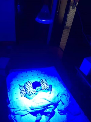 lampe de thérapie led 36W pour bébé nouveau-né