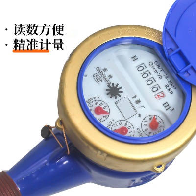 Compteur d'eau tout en  cuivre avec peinture antirouille humide