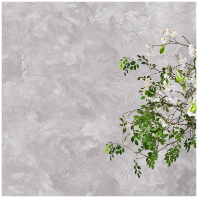 Peinture à base d'eau Velours Inodore