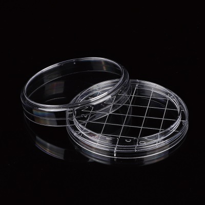 HD boîte de Pétri plastique jetable transparent 60mm