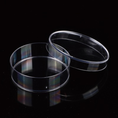 HD boîte de Pétri plastique jetable transparent 60mm