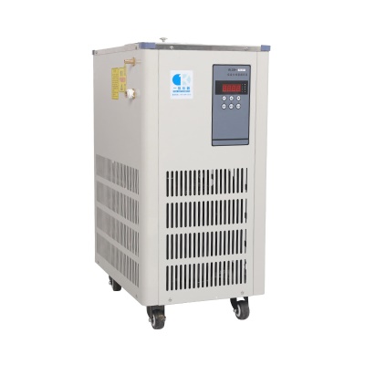 Pompe de circulation de liquide de refroidissement à basse température Contrôle intelligent de la température 5L Acier inoxydable