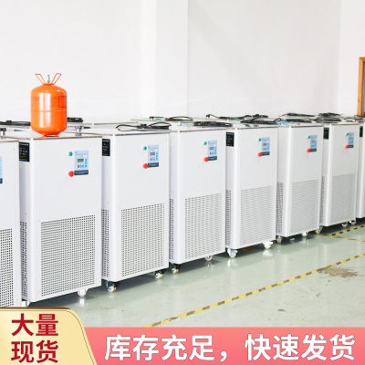 Pompe de circulation de liquide de refroidissement à basse température Contrôle intelligent de la température 5L Acier inoxydable