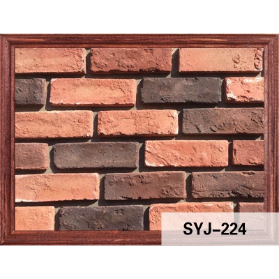 Carreaux culturels pour mur de fond intérieur