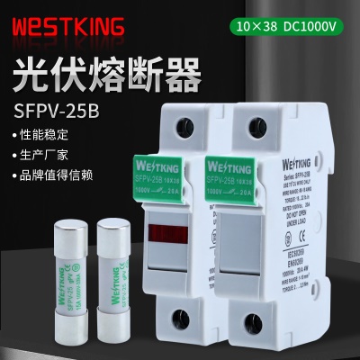 WESTKING  Fusible  PBT DC basse tension