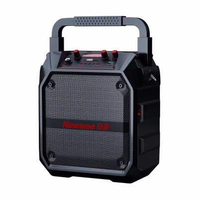 Haut-parleur sans fil Bluetooth Portable 6,5 pouces