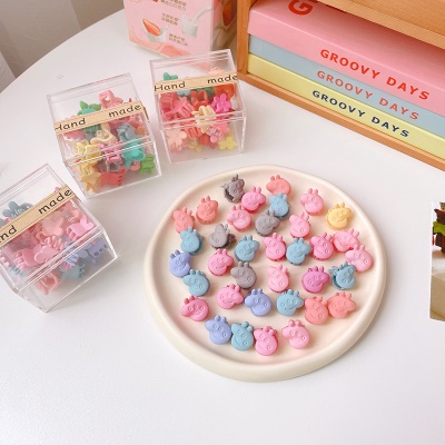 SHILAN Barrettes pour enfants en acrylique mini