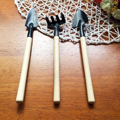 RONGXIN Outils de jardin 3 pièces mini manche en bois en acier