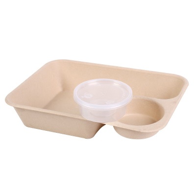 Boîtes à lunch jetables Biodégradables et imperméables à la pâte à papier