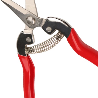 Sécateur en acier à haute teneur en carbone Electroplaqué
