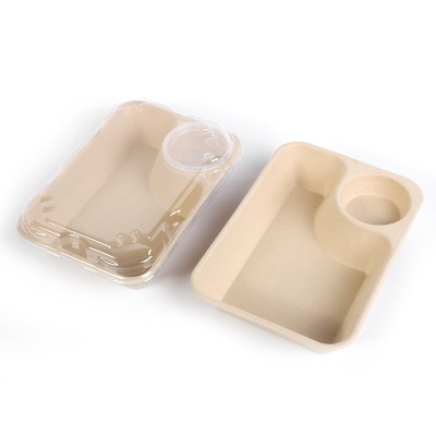 Boîtes à lunch jetables Biodégradables et imperméables à la pâte à papier