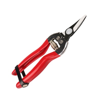 Sécateur en acier à haute teneur en carbone Electroplaqué