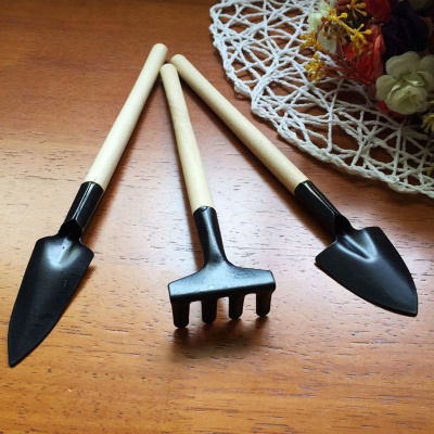 RONGXIN Outils de jardin 3 pièces mini manche en bois en acier