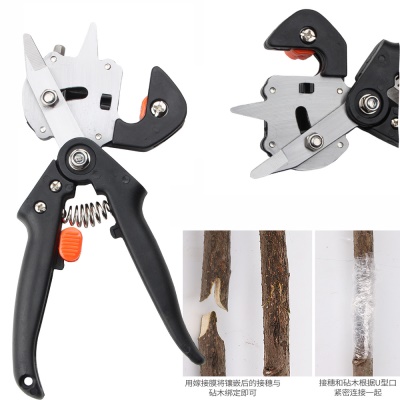 Machine de greffage de semis