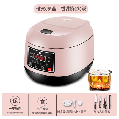 Cuiseur à riz multifonctionnel 3L Mini