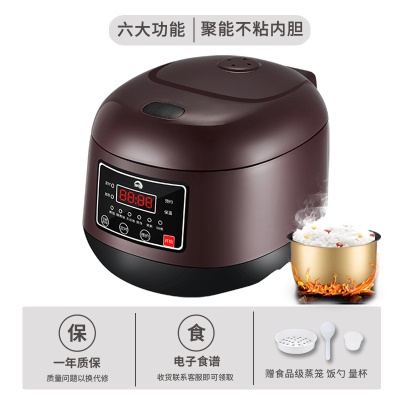 Cuiseur à riz multifonctionnel 3L Mini