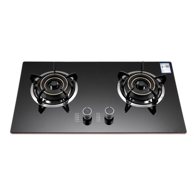 Cuisinière à gaz intégré à Double enceinte