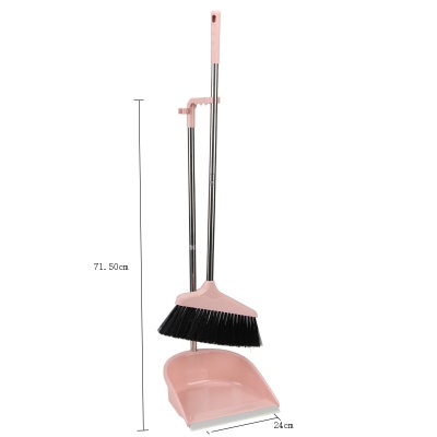 Set de Balai+ pelle à poussière en plastique
