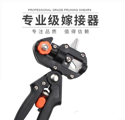 Machine de greffage de semis