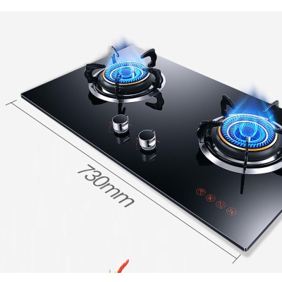 Cuisinière à gaz intégré à Double enceinte