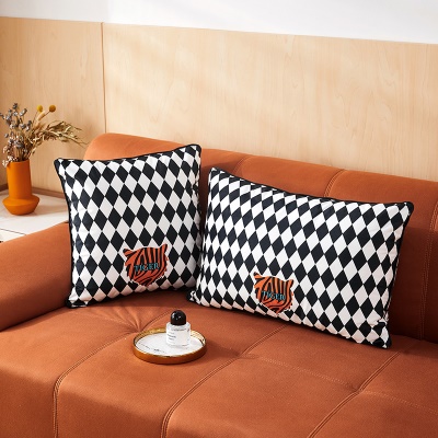 Housse de coussinde canapé pour maison