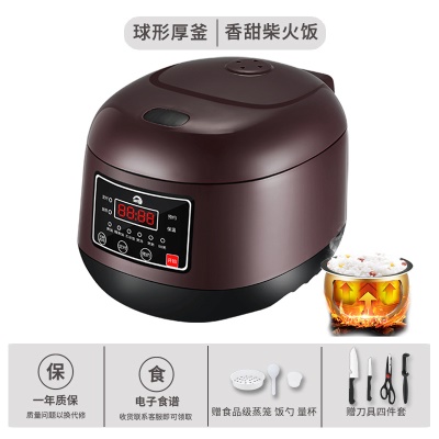 Cuiseur à riz multifonctionnel 3L Mini
