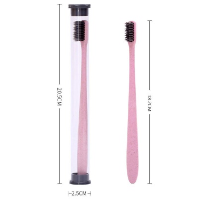 Brosse à dents à tube portable
