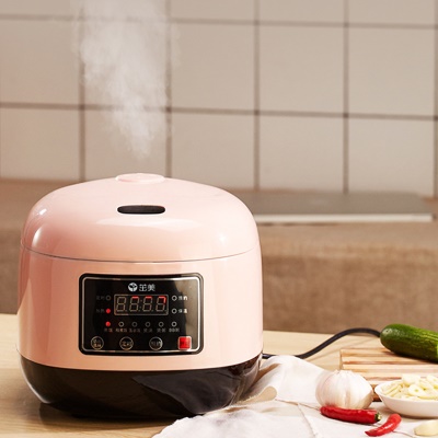Cuiseur à riz multifonctionnel 3L Mini