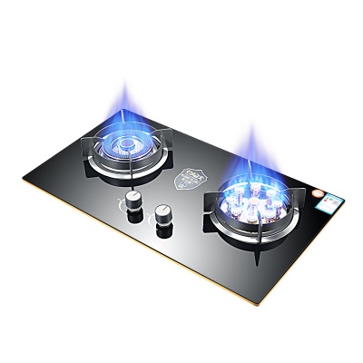 Cuisinière à gaz domestique à double usage intégrée