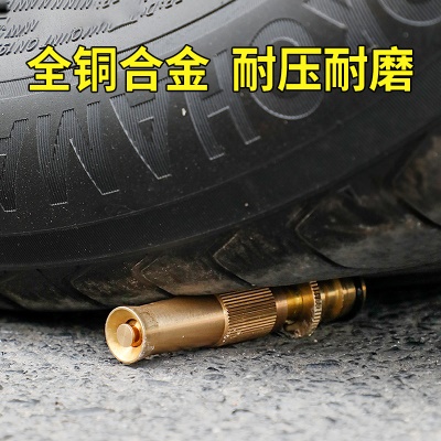 Outil d'arrosage de jardin avec pistolet de lavage de voiture de jardin