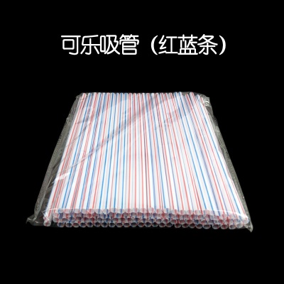Pipette en Paille jetable en plastique 21cm