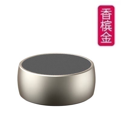 Haut-parleur Bluetooth sans fil allemand grave basse portable