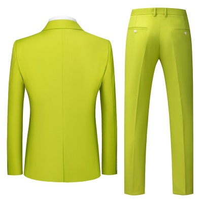 Costume slim pour hommes deux pièces