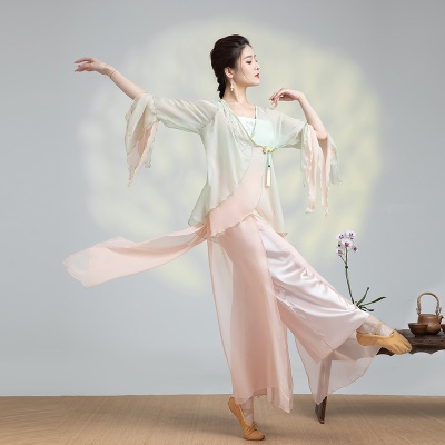 Ensemble de costume de  danse classique