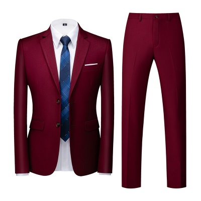 Costume slim pour hommes deux pièces