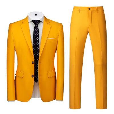 Costume slim pour hommes deux pièces