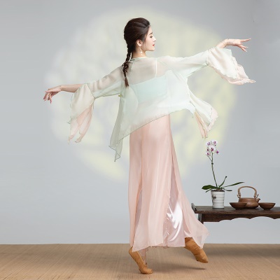 Ensemble de costume de  danse classique