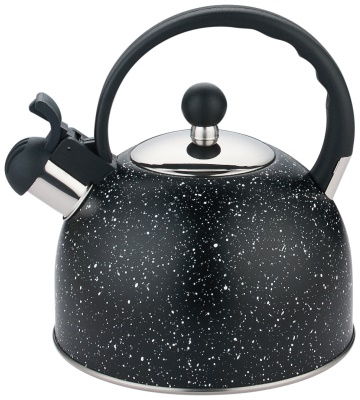2.5L Bouilloire en acier inoxydable grande capacité