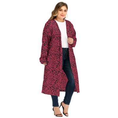 Robe femme imprimé léopard en cachemire français
