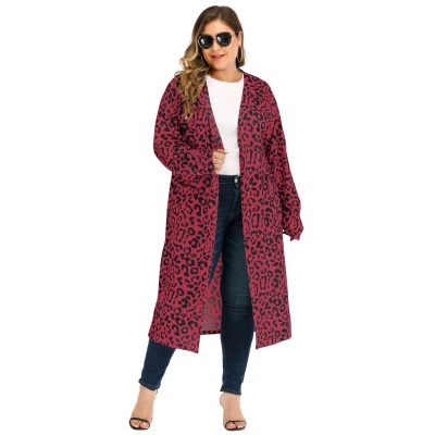 Robe femme imprimé léopard en cachemire français